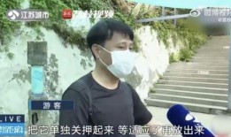 网红回村吃瓜是真的吗,真相揭秘，是炒作还是真实事件？